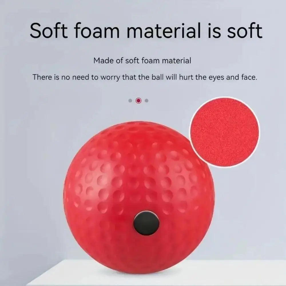 Boxing Speed Ball
