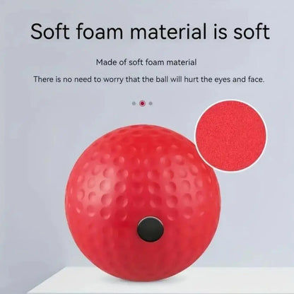 Boxing Speed Ball